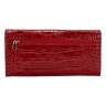 Кошелек женский кожаный Tony Bellucci T831-958 красный