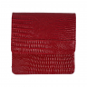 Кошелек женский кожаный Tony Bellucci T555-957 красный