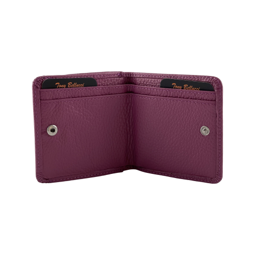 Кошелек женский кожаный Tony Bellucci T555-287 лиловый