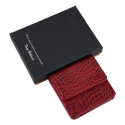 Кошелек женский кожаный Tony Bellucci T555-958 красный 