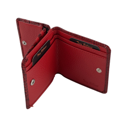 Кошелек женский кожаный Tony Bellucci T555-958 красный 