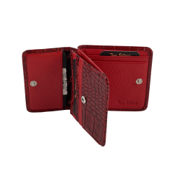 Кошелек женский кожаный Tony Bellucci T555-958 красный 