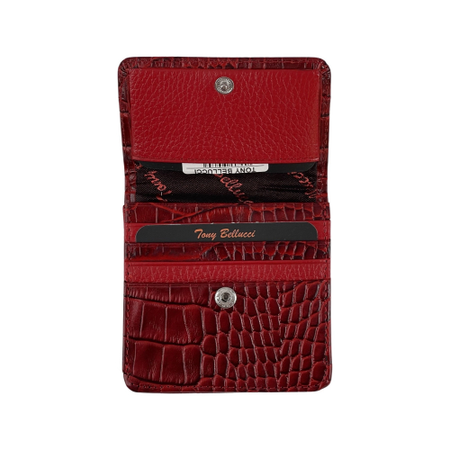 Кошелек женский кожаный Tony Bellucci T555-958 красный 