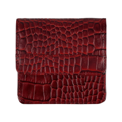 Кошелек женский кожаный Tony Bellucci T555-958 красный 