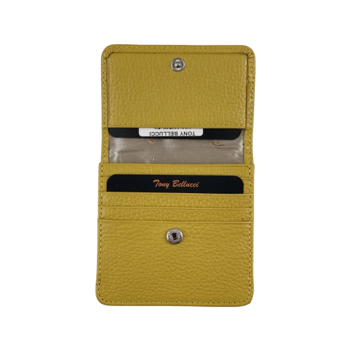 Кошелек женский кожаный Tony Bellucci T555-203 желтый