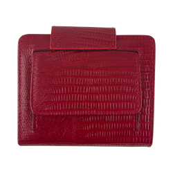 Кошелек женский кожаный Tony Bellucci T892-957 красный