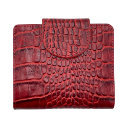 Кошелек женский кожаный Tony Bellucci T892-958 красный 