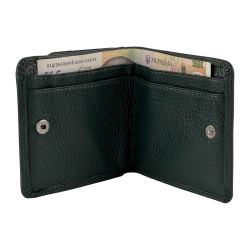 Кошелек женский кожаный Tony Bellucci T555-1005 темно-зеленый