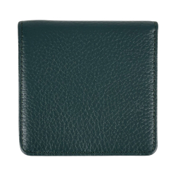 Кошелек женский кожаный Tony Bellucci T555-1005 темно-зеленый