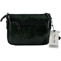 Сумка женская кожаная лакированная Karya 5069 зеленая