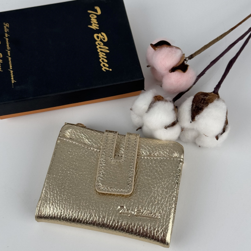 Кошелек женский кожаный Tony Bellucci T898-1035 золотой