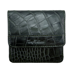 Кошелек женский кожаный Tony Bellucci T555-360 темно-зеленый