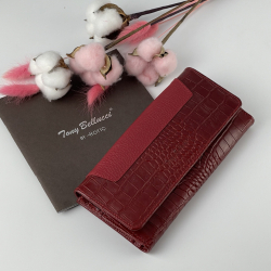 Кошелек женский кожаный Tony Bellucci 885-958-282