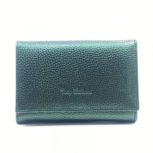 Кошелек женский кожаный стальной Tony Bellucci 863-1040