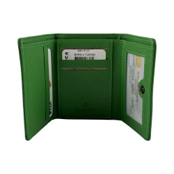 Гаманець жіночий шкіряний Eminsa 2203 37-27 зелений 