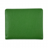 Гаманець жіночий шкіряний Eminsa 2203 37-27 зелений 